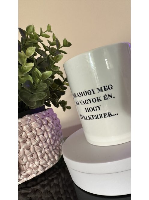 SZARKASZTIKUS FELIRATOS BÖGRE 